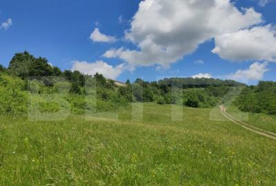 Teren de 28500 mp, în Gușterița - 10