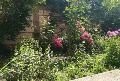 Apartament cu 3 camere în Domenii - 14