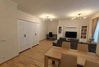 Apartament cu 2 camere semidecomandat în Turnișor - 10