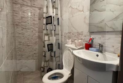 Casă cu 2 camere cu Teren 2930 Mp în Cotu - 2