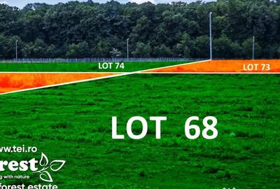 Teren de 1800 mp, în Cocani - 3