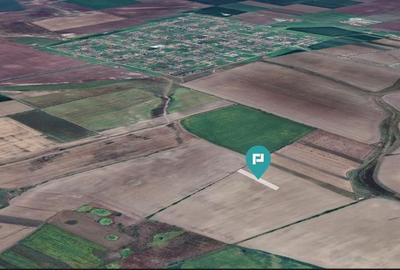 Teren agricol 3200 mp în Caporal Alexa