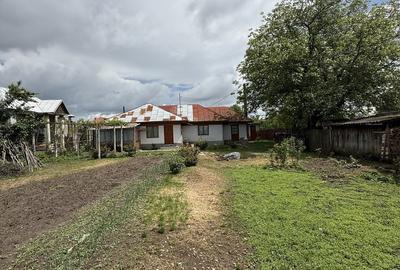 Casă cu 4 camere în Măgurele - 6