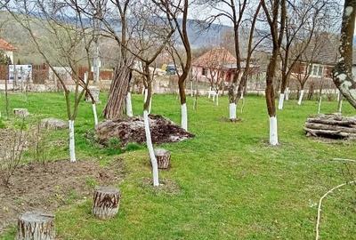 Casă individuală cu 2 camere cu Teren 2000 Mp în Ciglean - 10