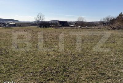 Spațiu comercial, în Badon - 6