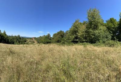 Teren extravilan de 45809 mp, în Mădrigești - 24