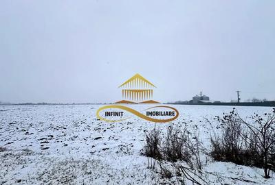 Teren de 4579 mp, în Schineni (Săucești) - 5