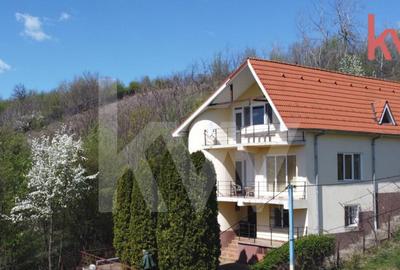 Casa deosebita Leamna, Dolj, priveliste panoramica
