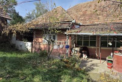 Casă cu 3 camere cu Teren 1000 Mp în Central - 4