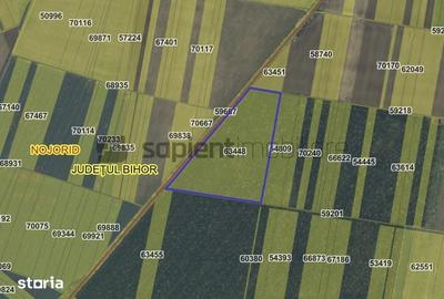 Teren de 70235 mp, în Nojorid - 1