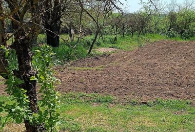 Casă cu 4 camere cu Teren 4200 Mp în Izvoru (Gogoșari) - 2