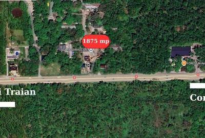 Teren Construcții intravilan de 1875 mp, în Valu lui Traian - 2