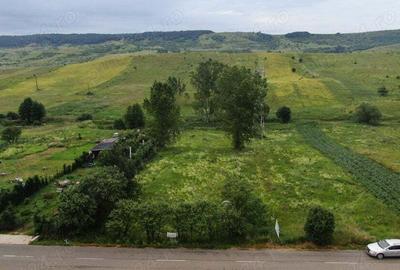 Teren de 2533 mp, în Săliște - 4