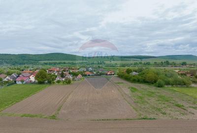 De vanzare - teren intravilan 5700 mp, central, ideal dezvoltare - 4