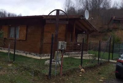 Casă cu Teren 350 Mp în Coaș - 2