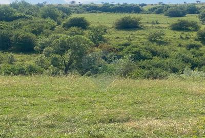 Teren de vanzare 8,700 mp Tarlungeni, comision 0 cumparator - 4