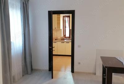 Ofer spre inchiriere apartament in vila - 9