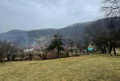 Casă cu 2 camere cu Teren 6000 Mp în Tăuții-Măgherăuș - 3