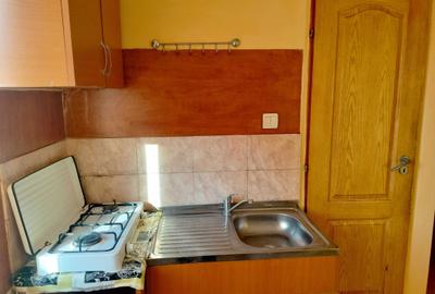 Garsonieră decomandată în Bularga - 6