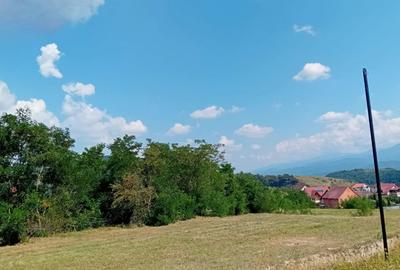 Teren de 500 mp, în Șelimbăr - 6