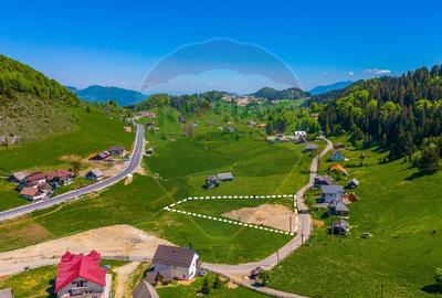 Teren Construcții intravilan de 3962 mp, în Fundata - 3