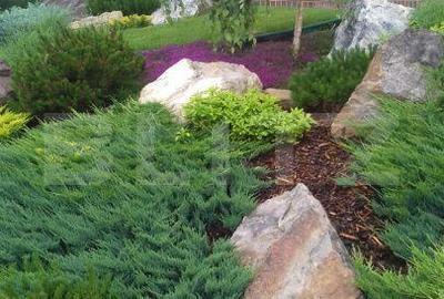 Casă cu 4 camere în Sud - 9