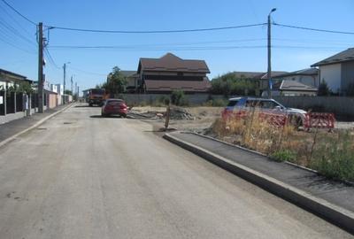 Bragadiru - Zona Haliu, Stradal - 7