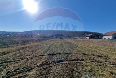 Teren Construcții intravilan de 2002 mp, în Hemeiuș - 2