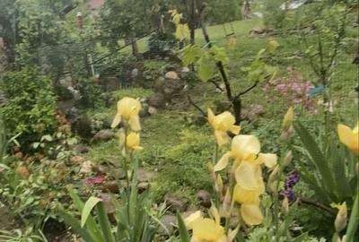 Casă cu 4 camere în Valea Părului - 2