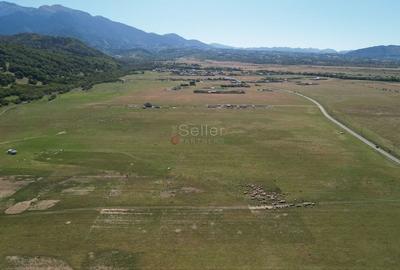 Teren extravilan Rasnov - 16