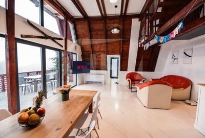 Cabana A-frame 5 camere la Belis / Business functional si profitabil - 1