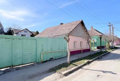 Casă cu Teren 1379 Mp în Central - 8
