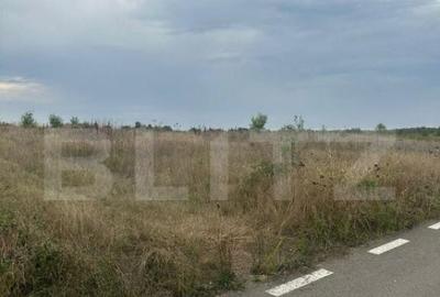 Teren de 1500 mp, în Central