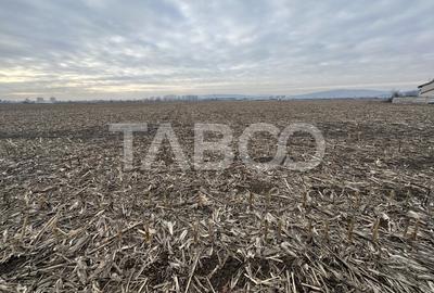 Teren intravilan 5800 mp cu potential de investitie - 2