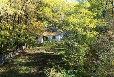 Teren Construcții intravilan de 7000 mp, în Vărbila - 8