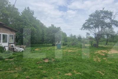 Teren intravilan, 4230 mp, Baicoi - 2