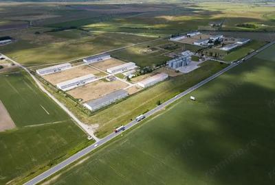 Teren Intravilan Investi?ii 11.600 mp Salonta - 10