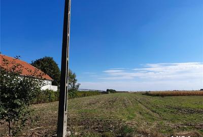 Teren de 9100 mp, în Central - 4
