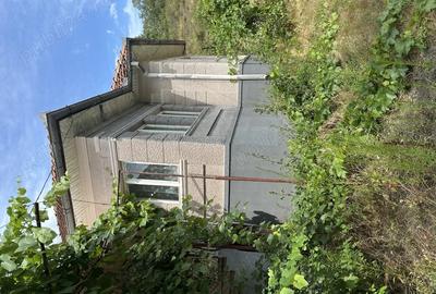 Vand casa taraneasca cu 8000 mp gradina - 3