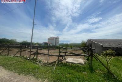 Teren de 1000 mp, în Babadag - 7