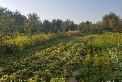 Vand casa, teren agricol si padure in Cheud - 8
