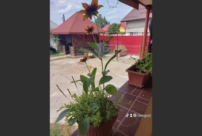 Casă cu 8 camere cu Canalizare în Drăguțești - 17