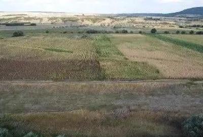 Teren Extravilan Banca, ID: R2805492 - 9