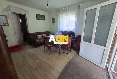 Casă individuală cu 3 camere cu Canalizare în Gura Arieșului - 9