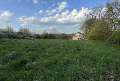 Teren de 5370 mp, în Roșia - 5