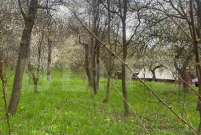 Teren de 784 mp, în Nistorești