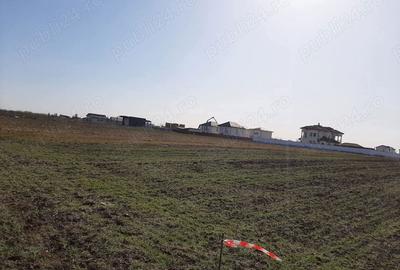 Teren de 4506 mp, în Tunari - 4