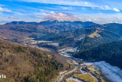 Spațiu comercial, în Brădet - 1