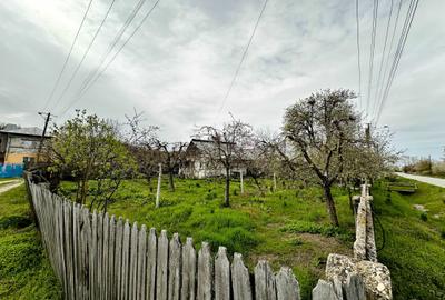 Casă cu 3 camere în Mârțești - 2