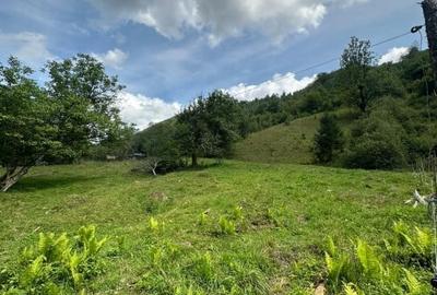 Teren 2 hectare pe Valea Ariesului, zona Scarita-Belioara, pret oportun 2 Eur/mp - 14